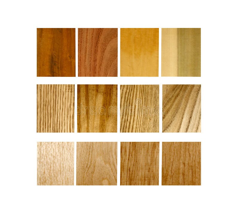 Oak wood samples stock image. Image of wood, opal, palisander 21441479