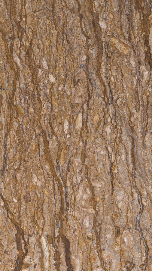 Varietà rara di marmo fotografia stock libera da diritti Varietà rara di marmo fotografia stock libera da diritti