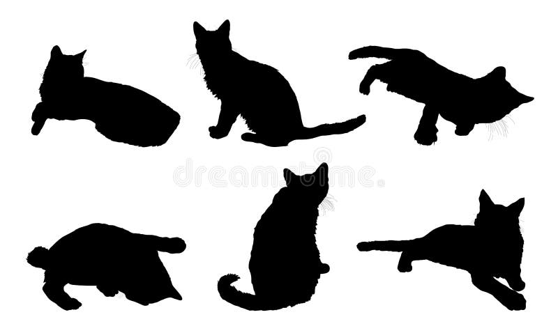 Varios gatos libre illustration Varios gatos libre illustration