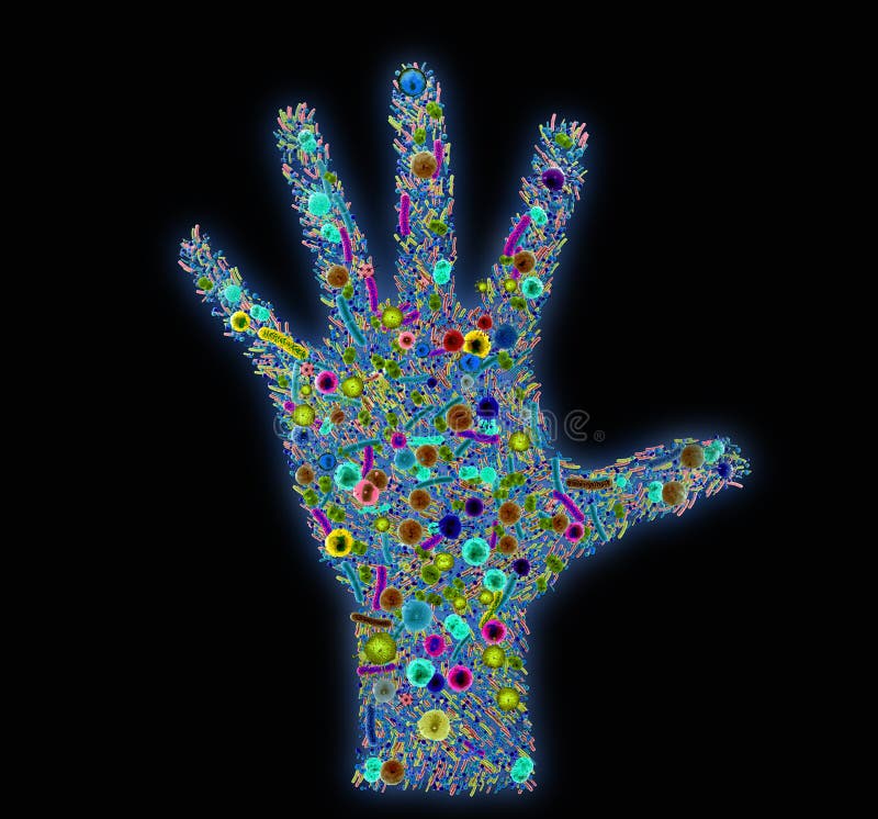 Various Bacteria and Pathogens on a Human Hand, the Microbiota of the