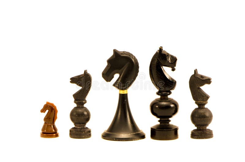 Various Black Horse Chess Pieces Isolated on White Background Stock