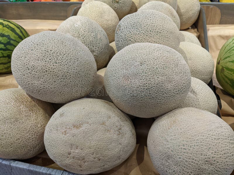 Various Cantaloupe Available for Purchase Grocery