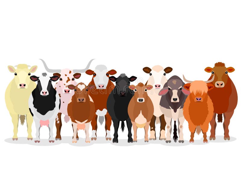 Herd Of Cattle Clipart