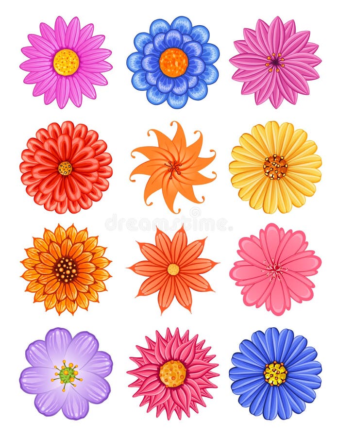 Various colorful flower stock vector. Illustration of elegant - 49910820