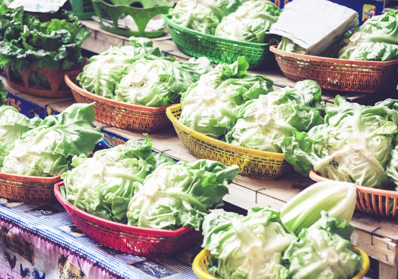 Various colorful fresh vegetables cabbage greenery salad in the fruit market, Catania, Sicily, Italy stock photos Various colorful fresh vegetables cabbage greenery salad in the fruit market, Catania, Sicily, Italy stock photos