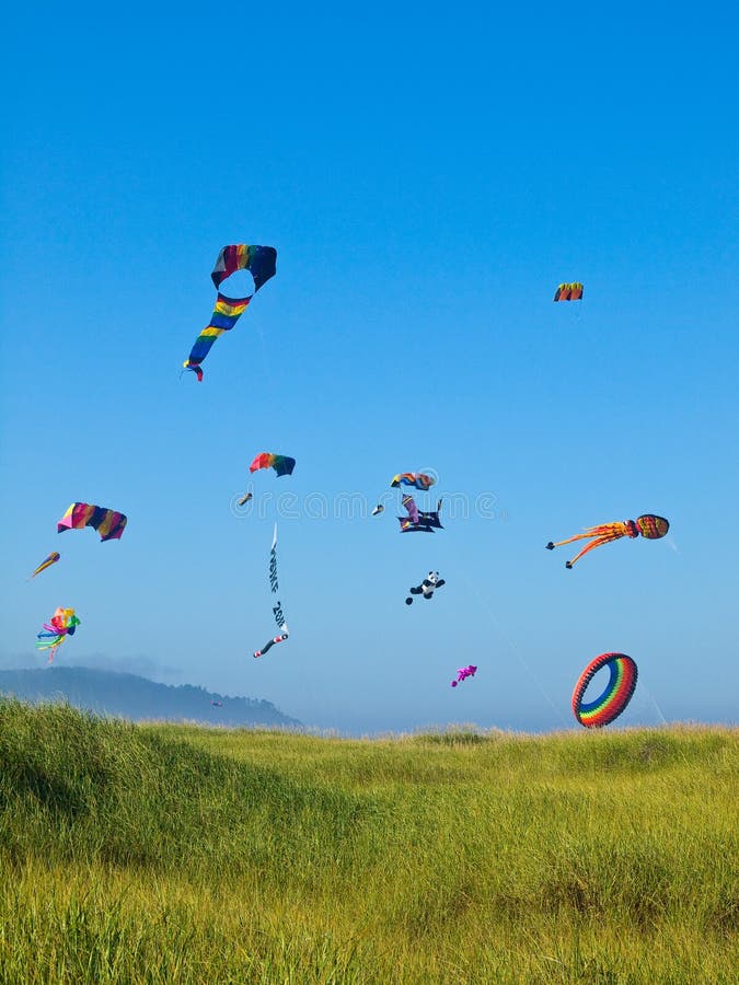 Various Colorful Kites Flying Stock Image Image of festival, kite