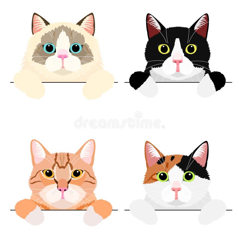 Cute Cat Icon Over Background, Vector Illustration Royalty Free SVG,  Cliparts, Vectors, and Stock Illustration. Image 110009206.