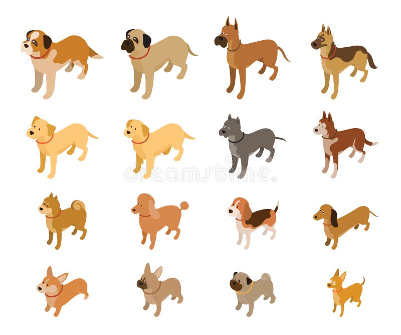 Dog Breeds Set Small And Medium Size Stock Vector Illustration Of