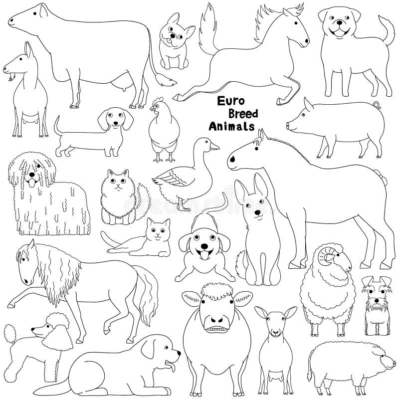 Doodle of European Breed Domestic Animals Stock Vector - Illustration of  farm, cartoon: 149031353
