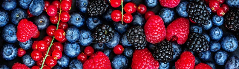 Various fresh summer berries Background. Panorama. Top view. Strawberry, Raspberry, Red currant, Blueberry and Blackberry