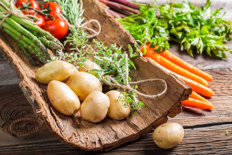 Various fresh vegetables on bark