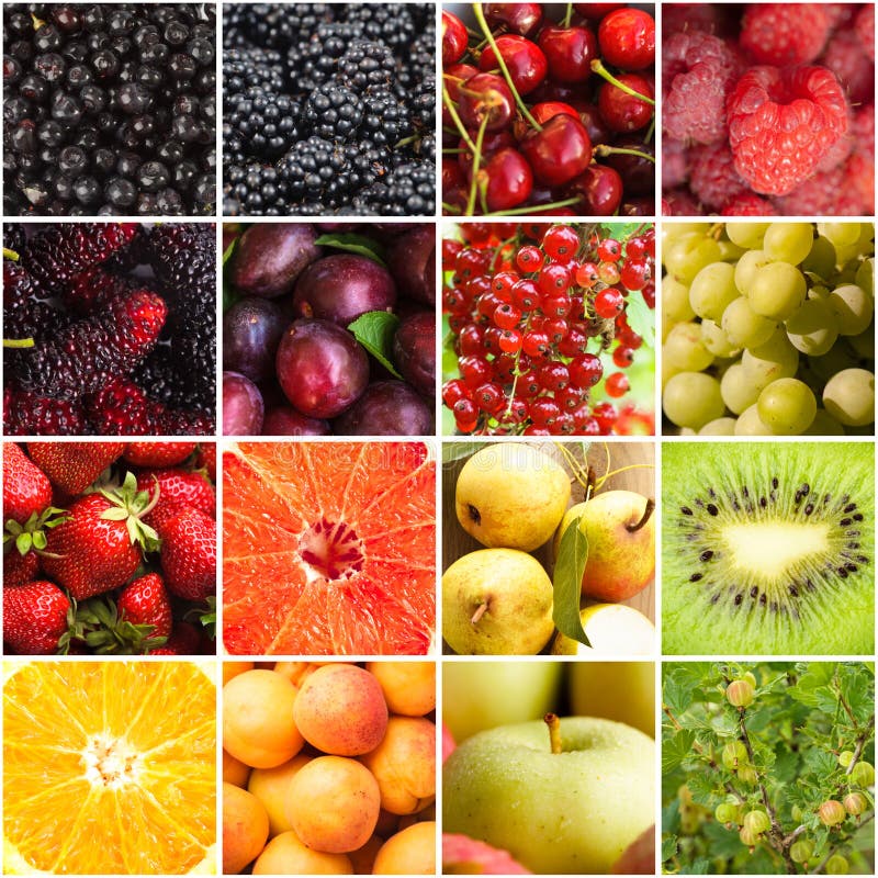 6,091 Mulberry Fruits Stock Photos Free & RoyaltyFree Stock Photos