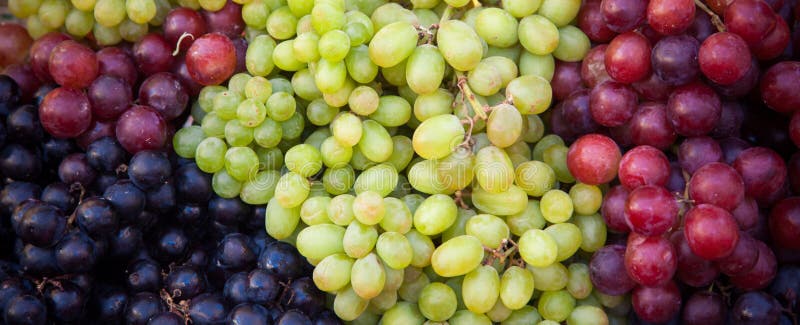 Various kinds of fresh grapes royalty free stock photography
