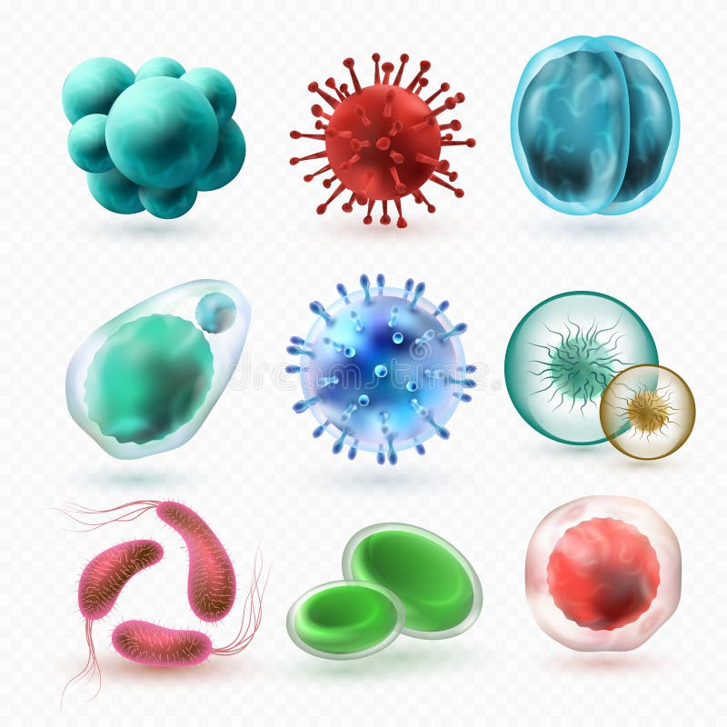 Various microscopic 3d bacteria and viruses. Microbiology vector bacterium cells isolated. Virus and bacterium, microbe cell illustration vector illustration Various microscopic 3d bacteria and viruses. Microbiology vector bacterium cells isolated. Virus and bacterium, microbe cell illustration vector illustration
