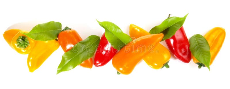Various Mini Peppers on White Background Panorama Isolated Stock Photo Image of fresh