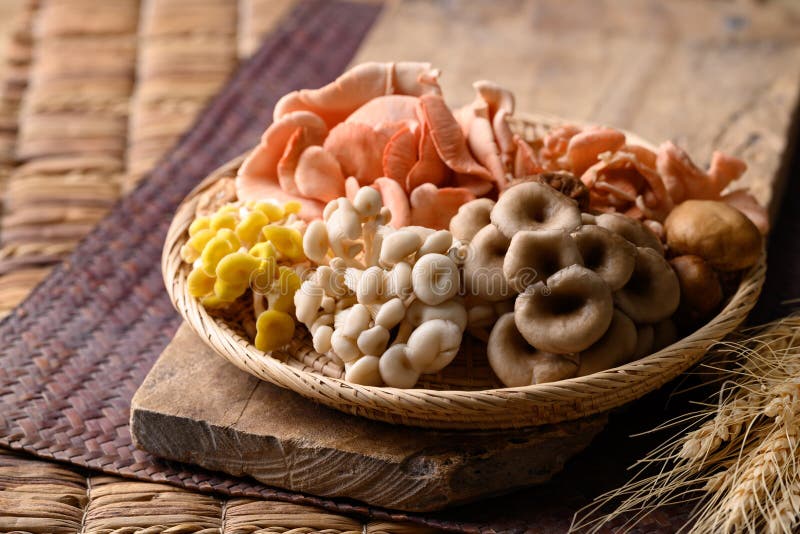 Various Oyster Mushroom in Basket, Healthy Edible Mushroom Stock Photo
