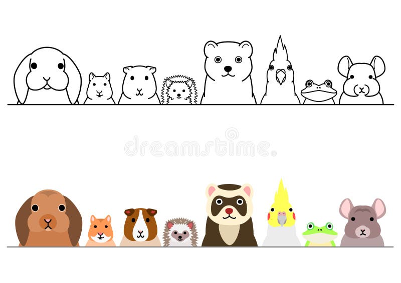 Various Pet Animals in a Row Stock Vector - Illustration of body, frog: 177769023 Various Pet Animals in a Row Stock Vector - Illustration of body, frog: 177769023