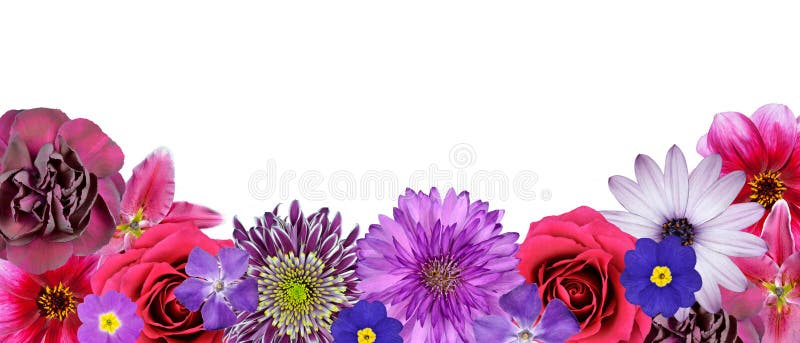 Various Pink, Purple Red Flowers at Bottom Row