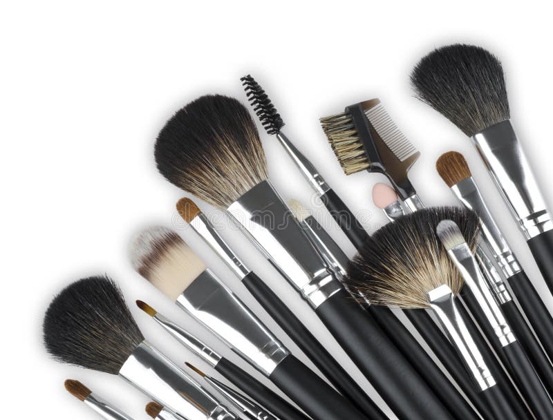 Various Professional Makeup Cosmetic Brushes Isolated on White