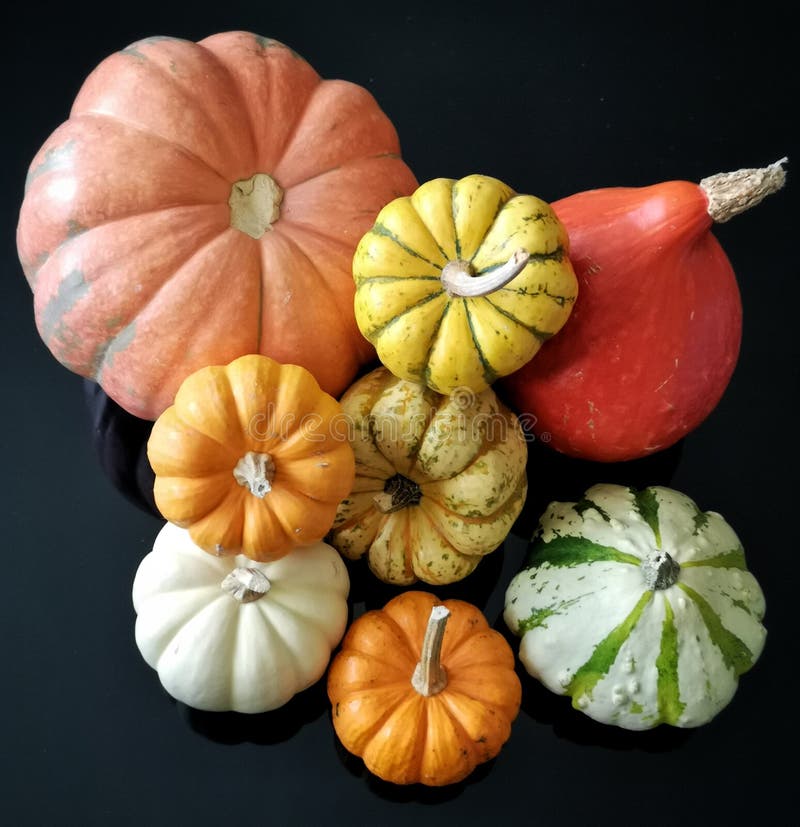 Various pumpkins on black background stock photo