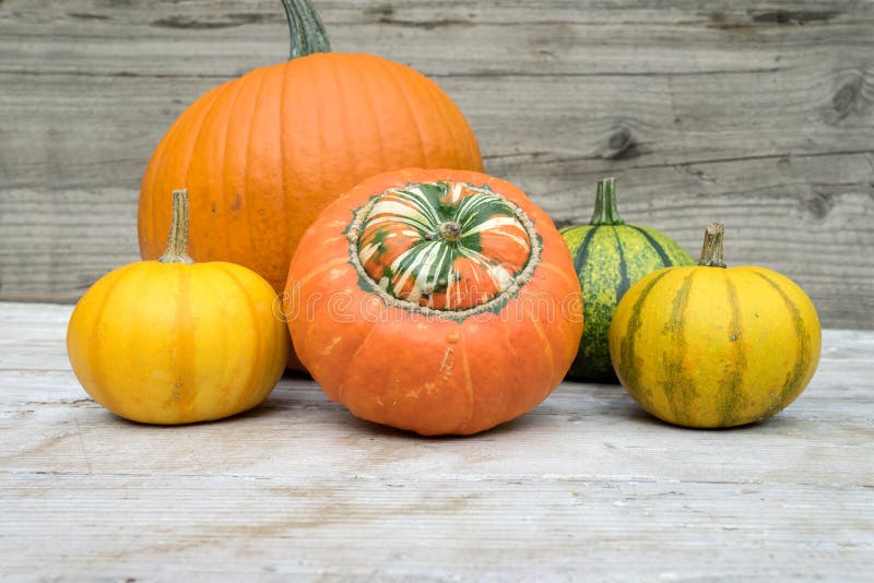 Various pumpkins stand on a table stock photo