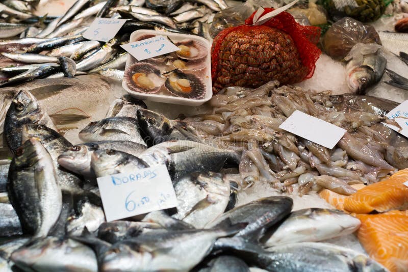 Various Raw Fresh Fish on Market Counter Stock Image Image of retail
