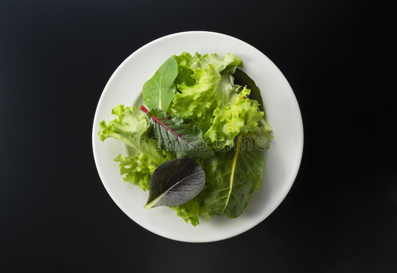 Various Salad Leaves on a Plate Stock Photo Image of leaves, eating