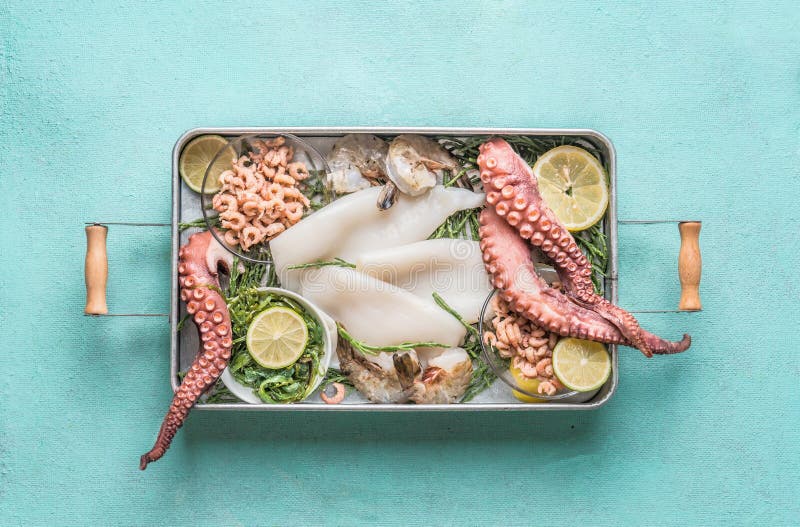 Various seafood in tray : octopus, shrimp, squid and seaweed on light blue background stock photo Various seafood in tray : octopus, shrimp, squid and seaweed on light blue background stock photo