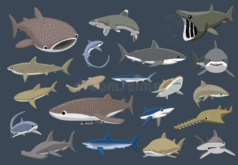 Shark Fish Vector Set in Flat Style Design. Different Kind of Sharks