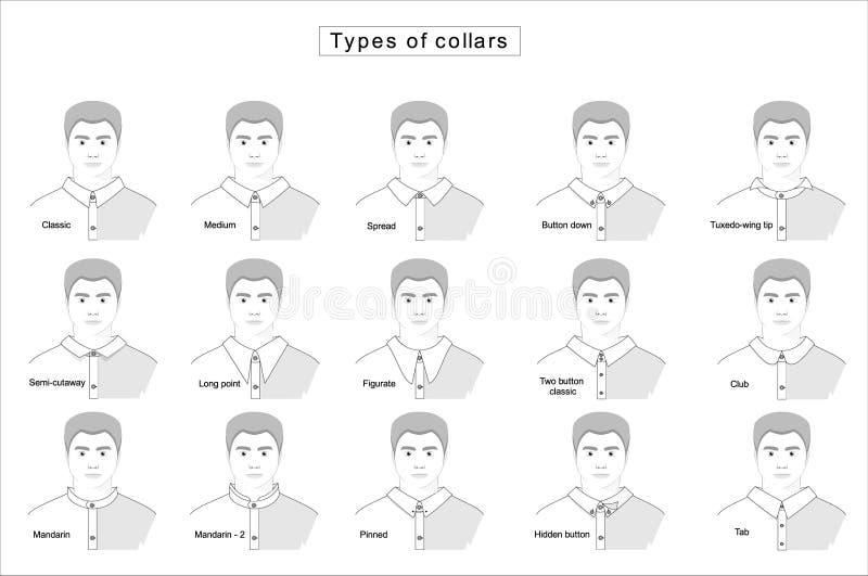 Types Collars Stock Illustrations – 24 Types Collars Stock ...