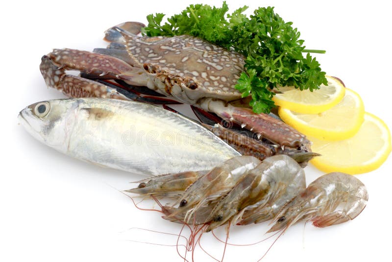 Variété de fruits de mer frais photographie stock Variété de fruits de mer frais photographie stock