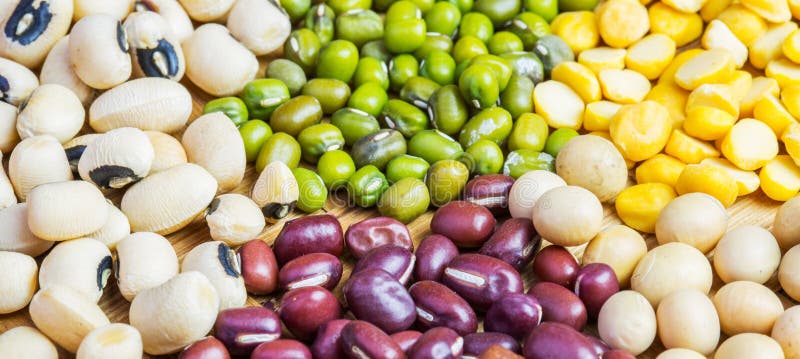 Variété de haricots et de lentilles V image libre de droits Variété de haricots et de lentilles V image libre de droits