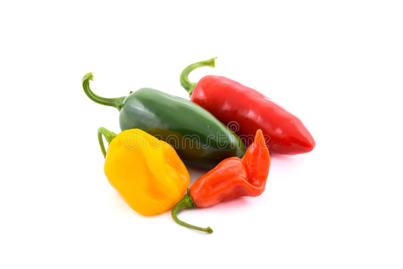 Variété différente de piments photographie stock libre de droits Variété différente de piments photographie stock libre de droits