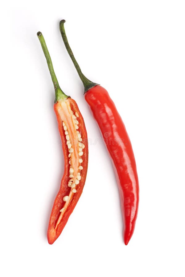 Varm pepparred för chili royaltyfri bild