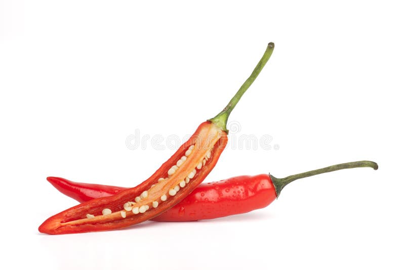 Varm pepparred för chili royaltyfri foto