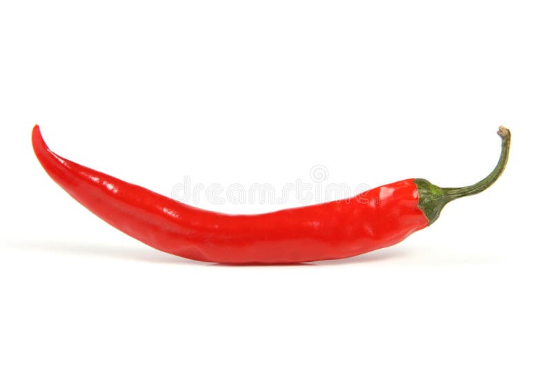 Varm pepparred för chili royaltyfria foton