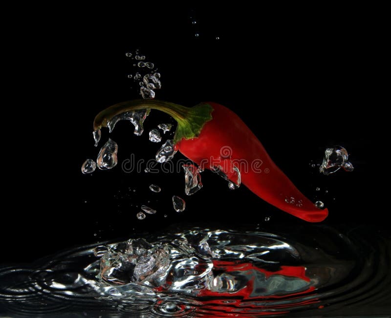 Varm pepparred för chili royaltyfri fotografi