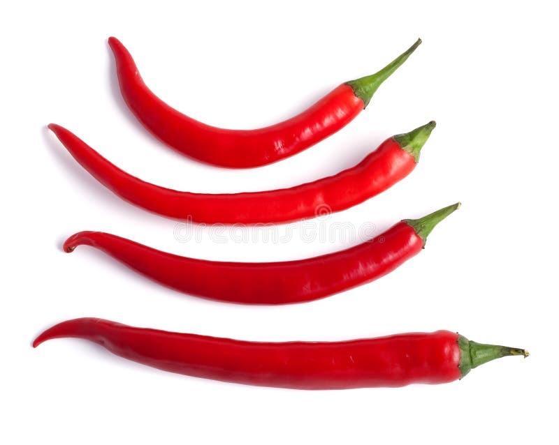 Varm pepparred för chili royaltyfri fotografi