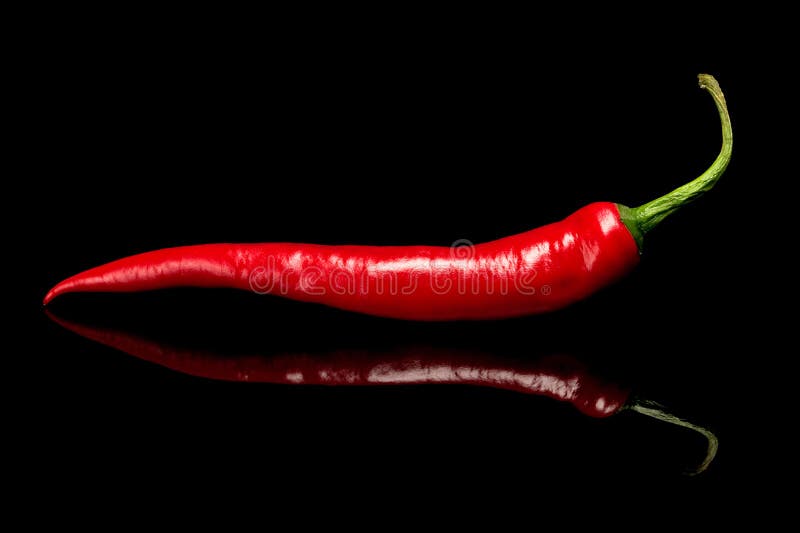Varm pepparred för chili royaltyfri bild