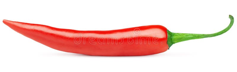 Varm pepparred för chili royaltyfri fotografi