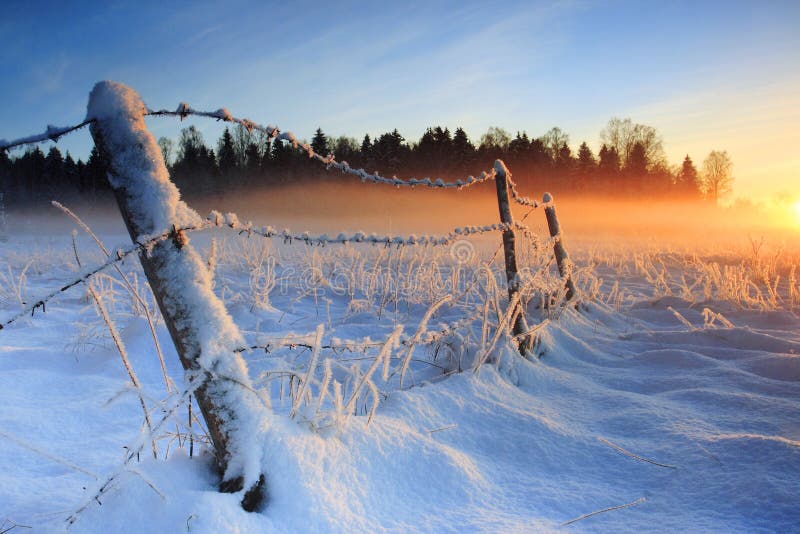 Varm vinter för kall solnedgång arkivbilder