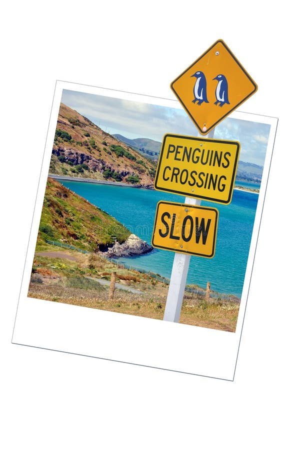 Varningspingvinvägmärke i Nya Zeeland arkivfoto Varningspingvinvägmärke i Nya Zeeland arkivfoto