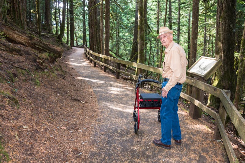 Varón mayor activo que camina con el caminante en sendero adentro foto de archivo libre de regalías Varón mayor activo que camina con el caminante en sendero adentro foto de archivo libre de regalías