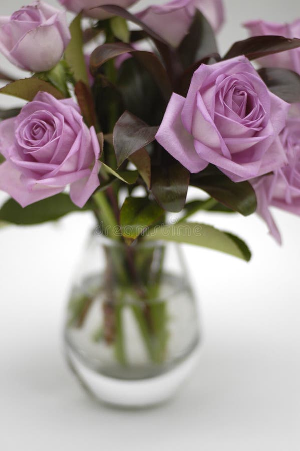 Shallow depth of field pink roses in a glass vase. Shallow depth of field pink roses in a glass vase