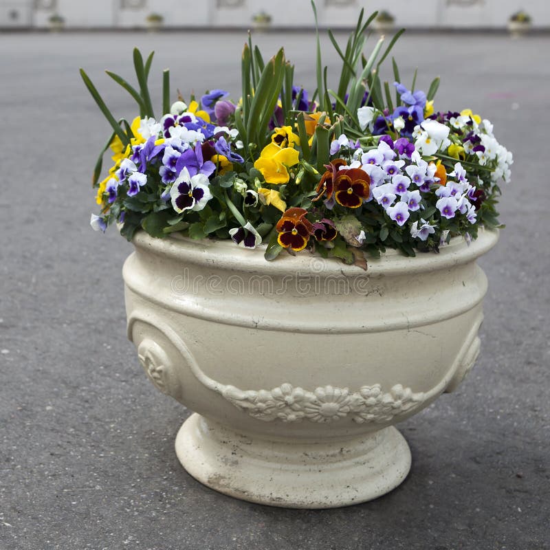 Vase As Decoration with Violets Stock Photo - Image of beautiful ...