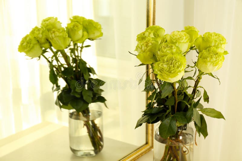 Vase avec de belles roses vertes près de miroir images libres de droits Vase avec de belles roses vertes près de miroir images libres de droits