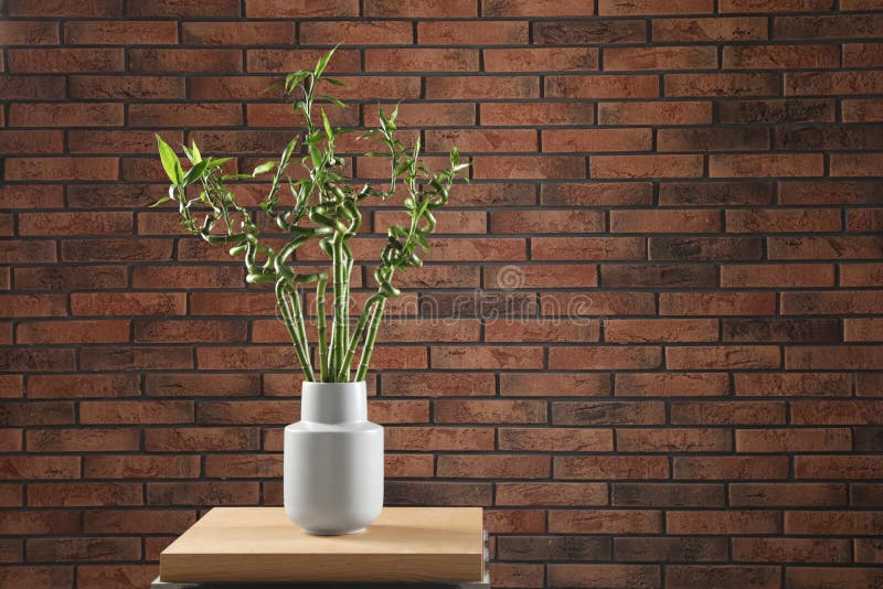 Vase with Bamboo Stems on Table Against Brick Wall Stock Photo Image