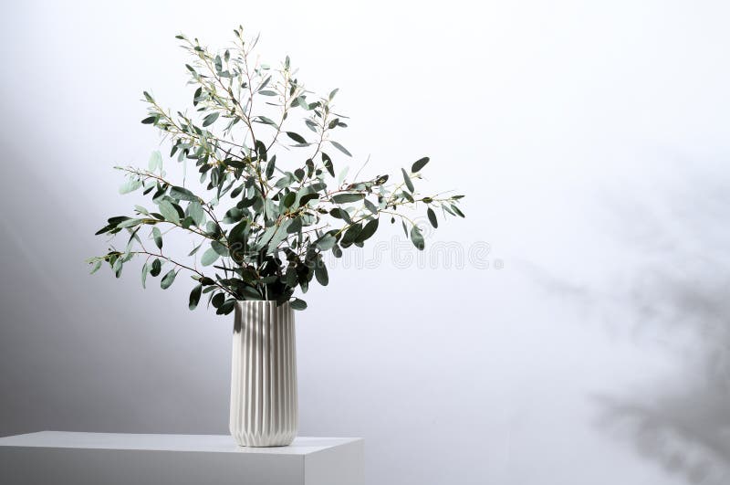 Vase with Eucalyptus Leaves Stock Image Image of minimal, still
