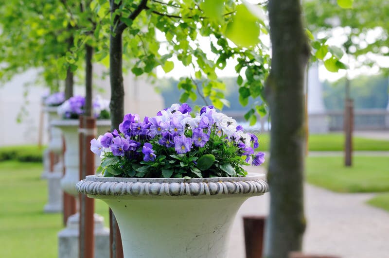 Vase with flowers