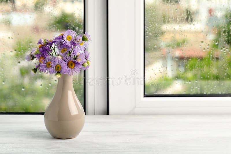 Vase with Flowers Near Window on Rainy Day. Space for Text Stock Image